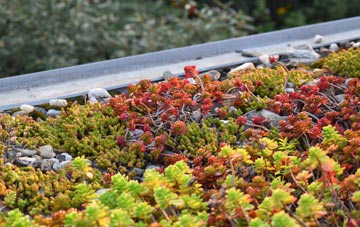 the cost of Manea green roof installation