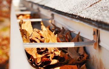 Manea gutter cleaning companies