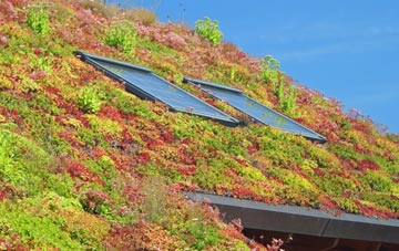 Manea living roof systems