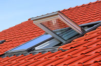 Manea roof window
