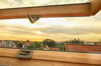rated Manea roof window companies